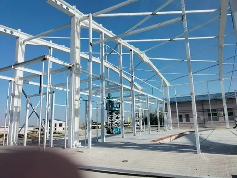 HALE DELTA INTERNATIONAL CONSTANȚA - montaj structura pe platforma