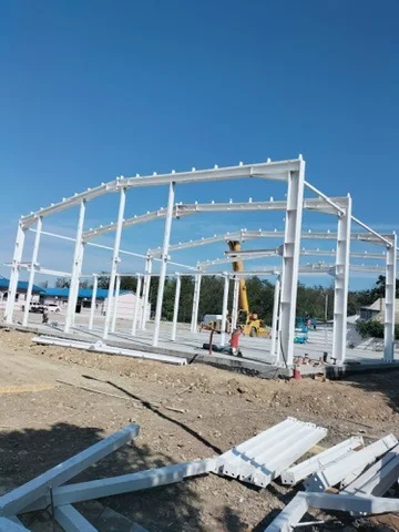 HALE DELTA INTERNATIONAL CONSTANȚA - montaj structura alba pe platforma