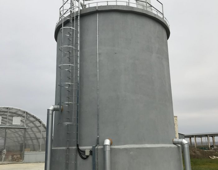 WhatsApp Image 2024-06-25 at 11.26.09 (1)