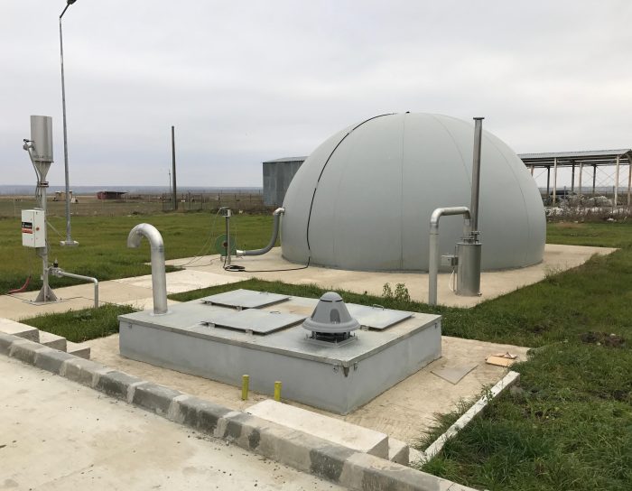 WhatsApp Image 2024-06-25 at 11.26.09