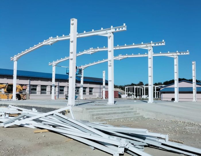 WhatsApp Image 2024-06-25 at 12.12.32 (2)